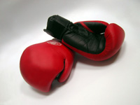 Box Fit
